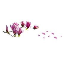 Pegatinas de pared florales decoración del hogar fondo decorativo calcomanía de flores