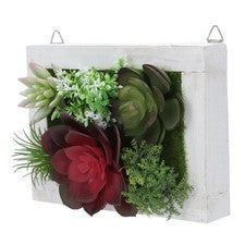 Marco de fotos creativo de madera suculenta de imitación de 1 pieza decoración de pared para el hogar