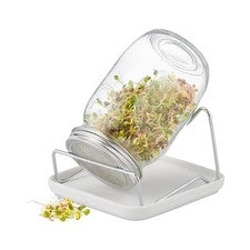 Juego de cultivo de brotes 850 ml vidrio, cerámica cerámica cerámica
