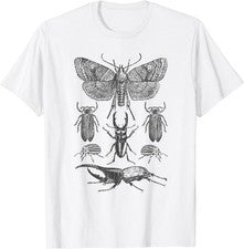 Camiseta Colección Insect Bug Polilla Ciervo Escarabajo Cicada