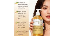 Champú hidratante hidratante para el cuidado del cabello de jengibre extracto de planta de magnesio 10,1 oz