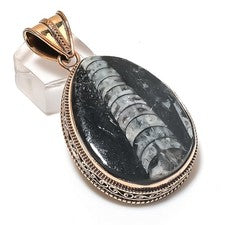 Colgante Orthoceras Piedras Preciosas Fósiles Cobre Joyería 2.36" Regalo para Ella U127