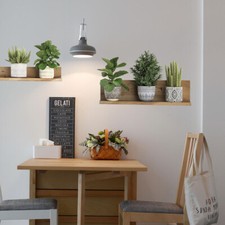 Pegatina de pared de hojas verdes en maceta de PVC para decoración de sala de estar mural de plantas hágalo usted mismo 