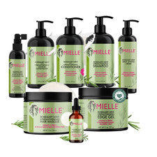 Champú acondicionador aceite gel colección cuidado cabello menta mielle romero