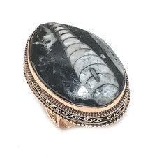 Anillo de joyería de cobre con piedras preciosas fósiles Orthoceras talla 8 regalo para ella w251