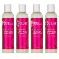 Champú exfoliante con aceite Mielle Mongongo 8 oz paquete de 4 limpieza para el cuidado del cuero cabelludo