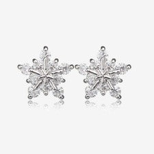 Pendientes de Lujo Brillante Circonita Cúbica Delicada Joyería Con Caja
