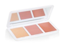Paleta de rubor/resaltador esculpido y brillante propia de modelos #04 foco melocotón nuevo con caja