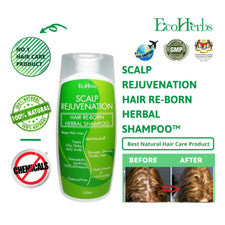 Champú a base de hierbas para cuero cabelludo EcoHerbs detener la pérdida de cabello, caspa, grasa, ayuda a la regenerac
