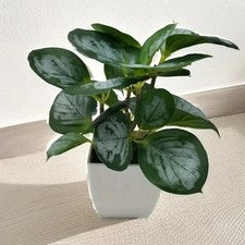 4 piezas plantas de imitación para decoración de hogar y oficina para salón dormitorio