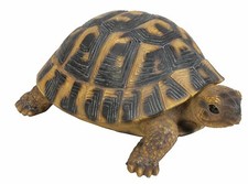 Tortuga Hermann de la vida real | Decoración de hogar o jardín de resina | XRL-HERM-F