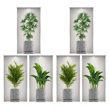 2 juegos de pegatinas de decoración de pared para sala de estar hogar plantas pájaros
