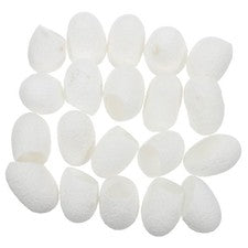Exfoliante exfoliante 20 piezas para herramienta de cuidado de la piel acné espinilla