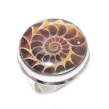 Anillo de joyería de plata de ley 925 con piedras preciosas fósiles de amonita talla 9 regalo para ella t6