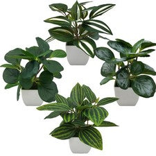 4 PIEZAS Plantas Falsas Realistas para Decoración del Hogar en Dormitorio y para Salón