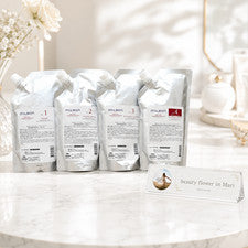 Global Milbon Repair Heat No.1-4 Sistema Tratamiento Cuidado del Cabello Salón Set Kit