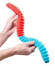Gusano gomoso agrio gigante de 2 libras