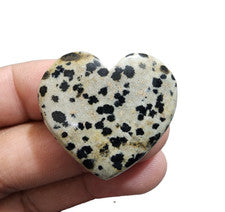 Para joyería 66 quilates maravilloso jaspe dálmata forma de corazón cabujón d...