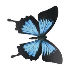 Pegatinas mariposas PVC resistentes a la intemperie para embellecer tu hogar al aire libre