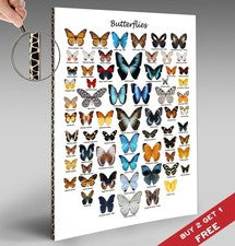 PÓSTER DE CARTA DE MARIPOSAS 30x21 cm Estampado de mariposa Regalo Hogar Decoración de Pared