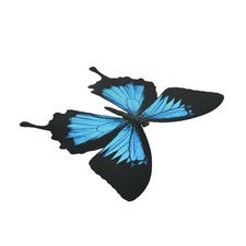 Vibrante PVC Mariposa Pegatinas de Pared para Hogar y Decoración de Jardín 26cm