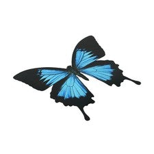 Increíbles calcomanías de vinilo de mariposas de colores ideales para decoración del hogar y del jardín