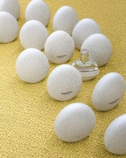 Perfume Tamburins The Egg 14 ml / 5 tipos