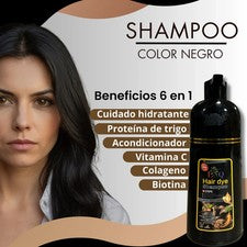 Champú tinte cabello LNQ 6 en 1 NEGRO 6 en 1 COLÁGENO, BIOTINA Y 4 BENEFICIOS MÁS