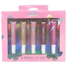 Juego de 5 brillos de labios Beauty Venture en tonos rubor