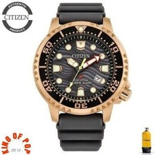 CITIZEN BN0163-00H Promaster Eco Drive Diver's 200 *Express 1/2 Days*
