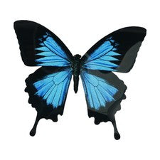 Pegatinas de pared coloridas mariposas 3D para decoración de hogar y jardín