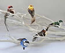5 Pájaros Artificiales Clip En Pájaro Falso Decoración Floral Planta Adorno Decoración Hogar