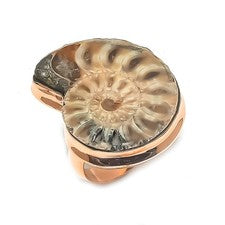 Anillo de joyería de cobre con piedras preciosas fósiles de amonita talla 9 regalo para ella q732