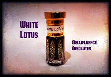 White Lotus Absolute - Almizcle Floral Etéreo - Ingrediente Perfume Natural