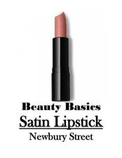 ¡NUEVO! Lápiz labial satinado ~Nicollet Avenue~ Nutre hidrata rico acabado satinado suave