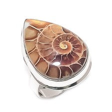 Anillo de joyería de plata de ley 925 hecho a mano con piedras preciosas fósiles de amonita talla 8 Z248