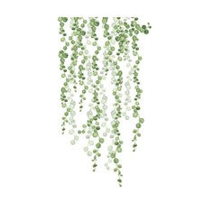 2 juegos de calcomanías de pared de PVC verde duraderas pegatinas decorativas extraíbles para el hogar