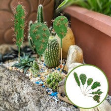 Planta Artificial Decoración Cactus Paisaje 6 Piezas para Simulación Hogar