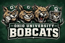Letrero de metal de los bobcats de la Universidad de Ohio de 12x8 pulgadas decoración de pared equipo de ventilador de l
