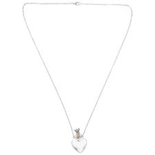 Joyería para Mujer Aceite Esencial Aromaterapia Perfume Colgante Difusor Collar