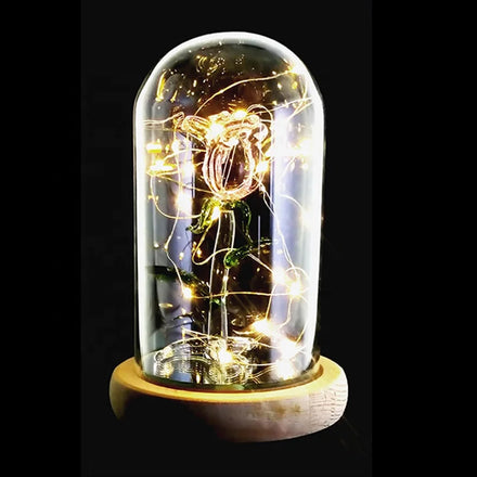 Christmas Display Borosilicate Glass Rose Flower in Glass Dome Led Light Home Decoration