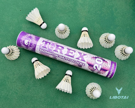 Birdie Airshuttle Tournament Level 2st Grade Duck Feather Ball Badminton Shuttlecock with Sandwich Cork Head 4.9g LIBOTAI 74-79