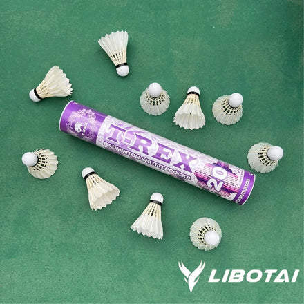 Hangyu Badminton Class Duck Feather Shuttlecock 2-Layer Cork All-Round Type White Speed 74-79 Model DX5-1 for Advanced Club