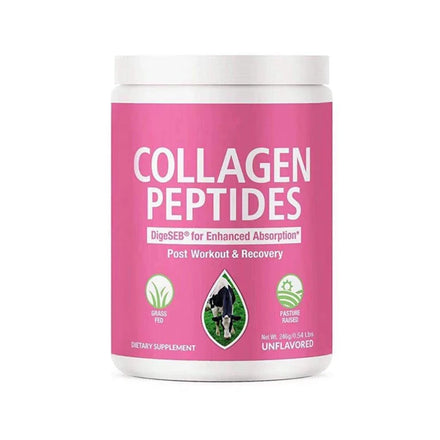 Private Label Enhanced Absorption Bovine Plant Based Blueberry Powder Best Collagen Peptides
