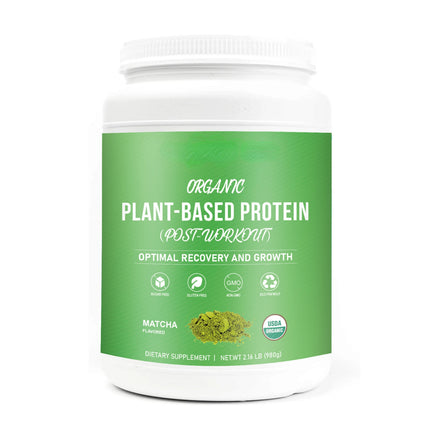 Private Label Organic Matcha Flavor Sugar-free Plant Based Protein Powder for Trainer Post-workout Energy Muscle Building