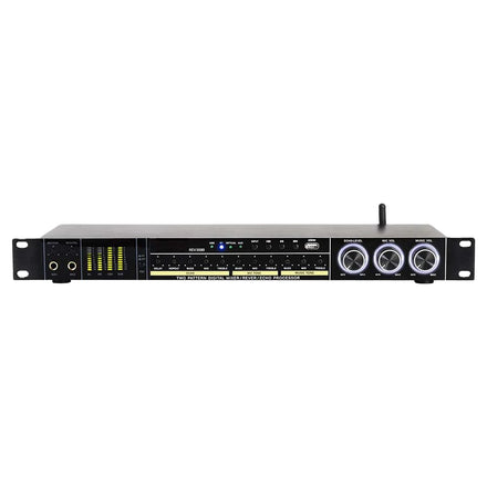 Biner REV3900 Professional Pre-effector for Audio Equipment Devices for Stage Karaoke