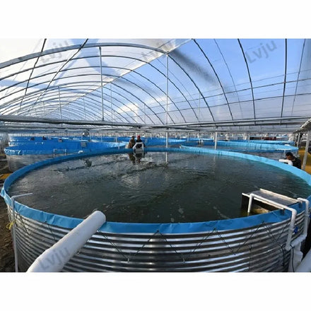 Lvju Indoor Aquaculture Systems Circular Aquaculture Pond Tank