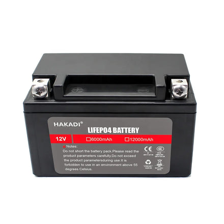 With BMS 12V12Ah Lithium Iron Phosphate Motorcycle Battery Lifepo4 Lfp LFP Strong Power for EV High Rate Discharge Support OEM