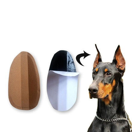 Non-toxic Stickers Protect Pet Dog Ears Decoration Pet Dog Ears Erect Stickers