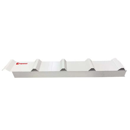 Lightweight EPS Sandwich Panels for Cold Room Workshop Hotel Use-Fire Resistant Eco-Friendly 50-200mm Thickness 5+ Year Warranty